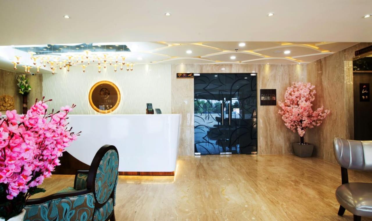 Olive Tree Hotel Vidzsajavádá Kültér fotó